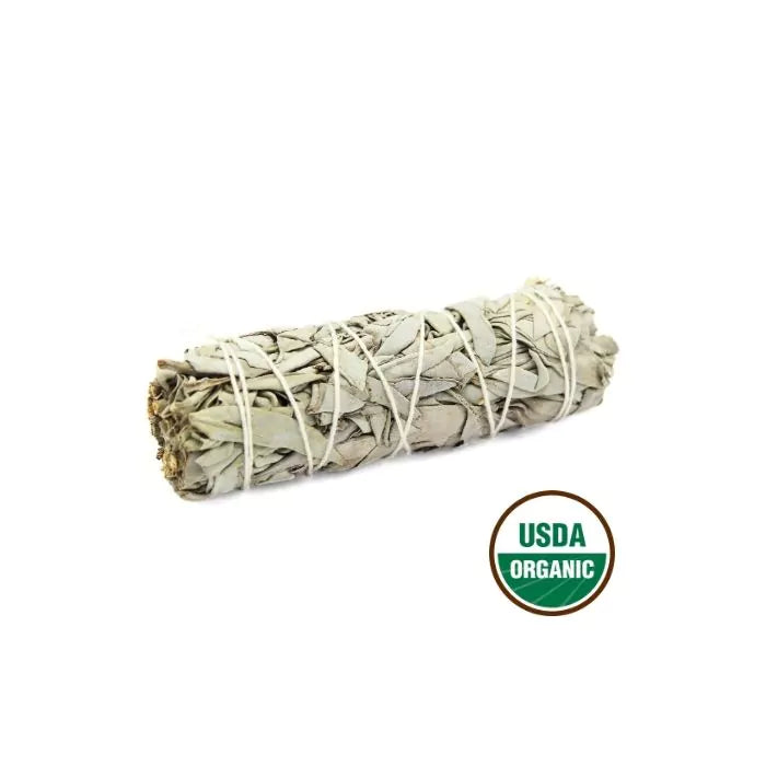 Mănunchi de Salvie Albă (White Sage) – 10 cm