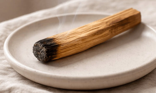 Cum se folosește corect Palo Santo pentru purificare – Ghid pas cu pas